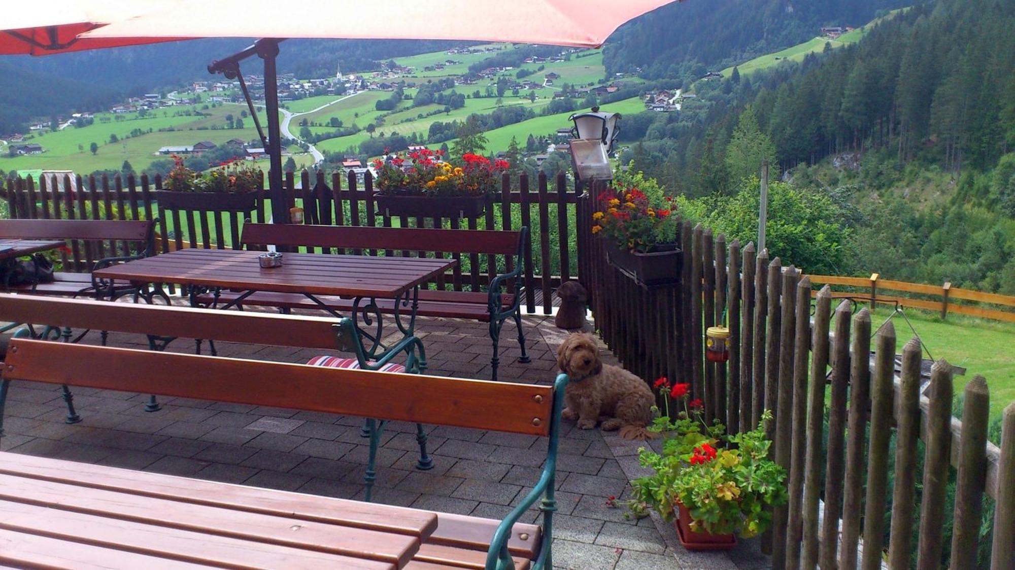 Gruppen Und Familienhof Falkenstein Hotell Krimml Exteriör bild