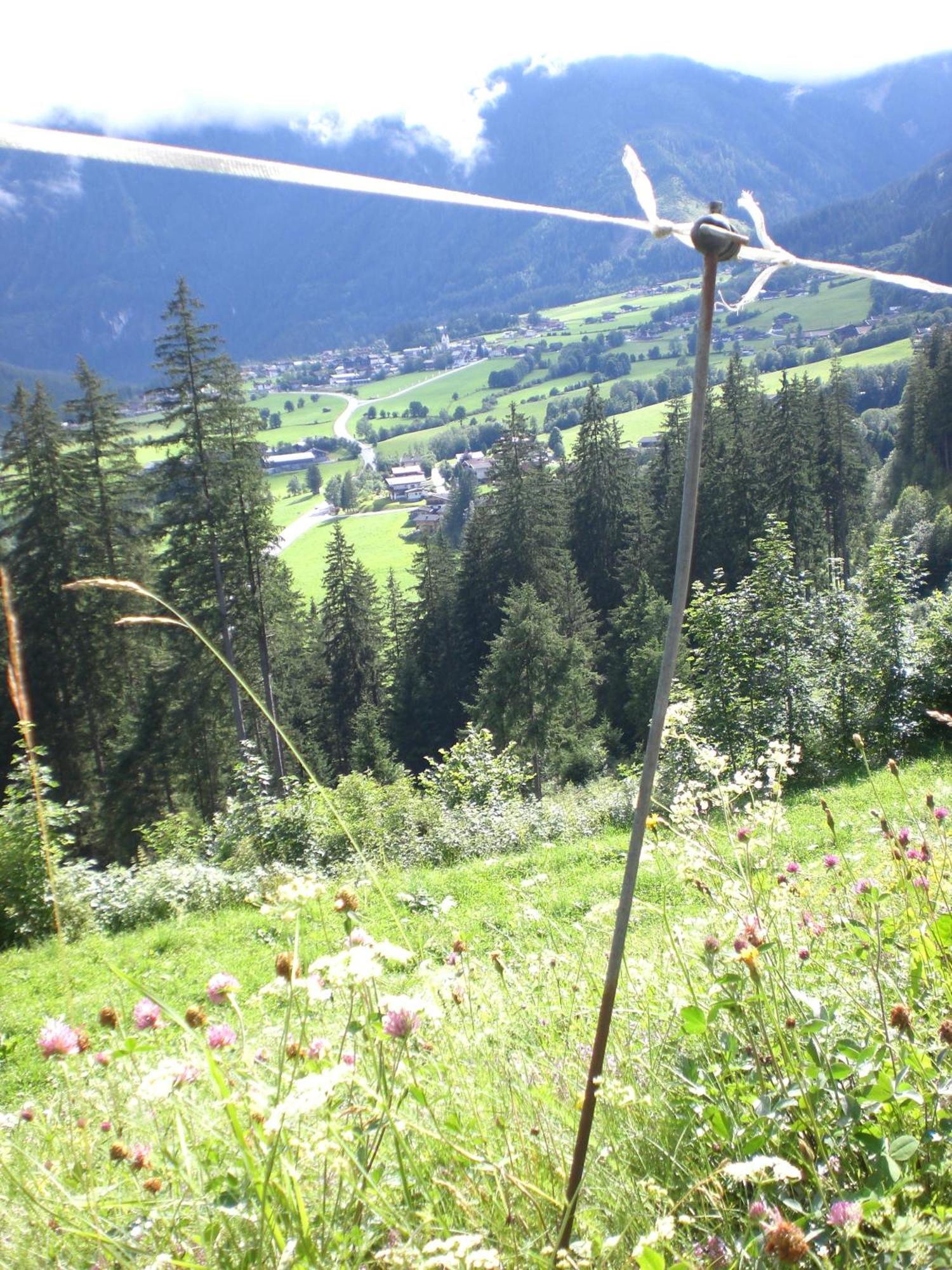 Gruppen Und Familienhof Falkenstein Hotell Krimml Exteriör bild