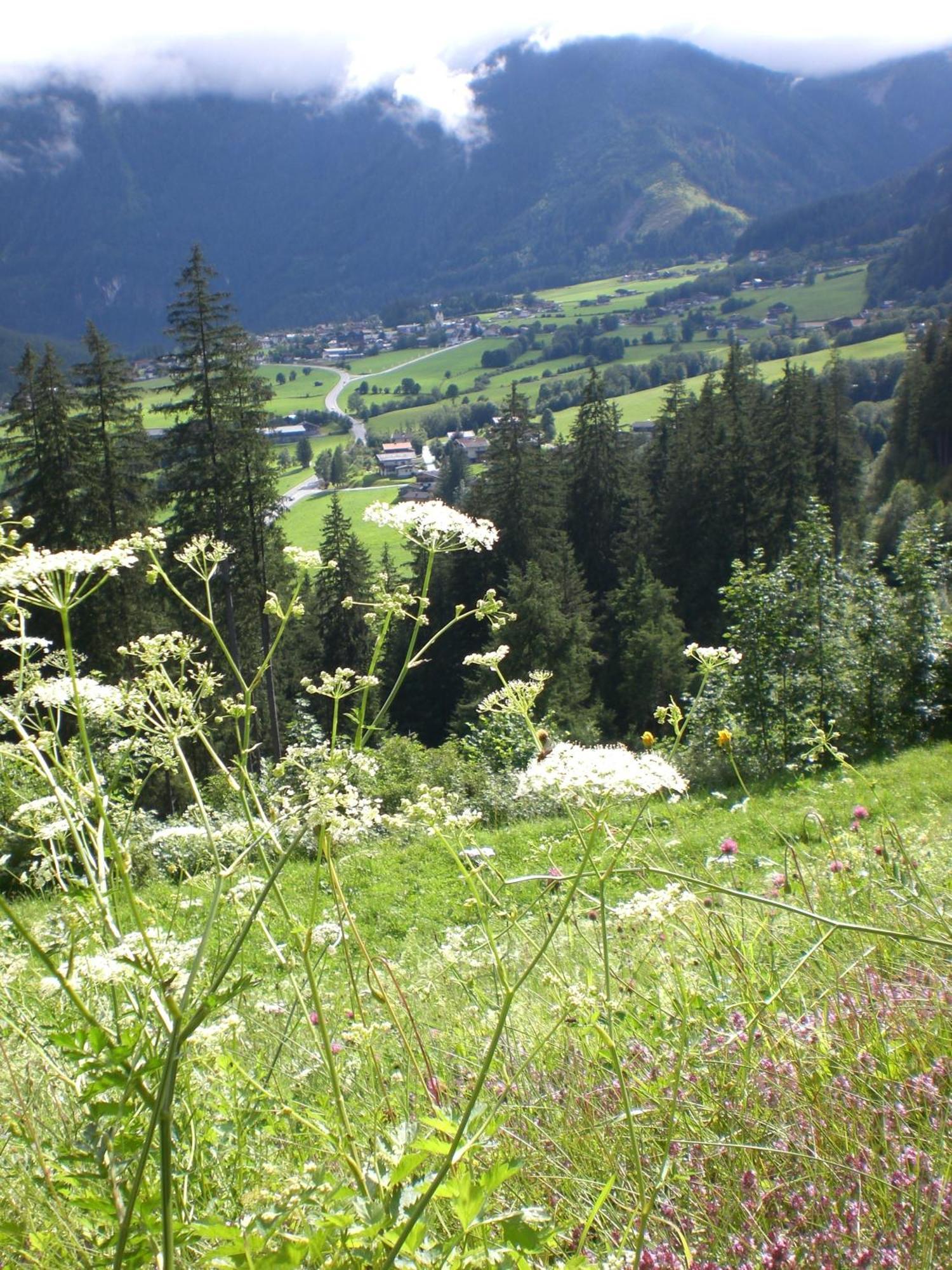 Gruppen Und Familienhof Falkenstein Hotell Krimml Exteriör bild